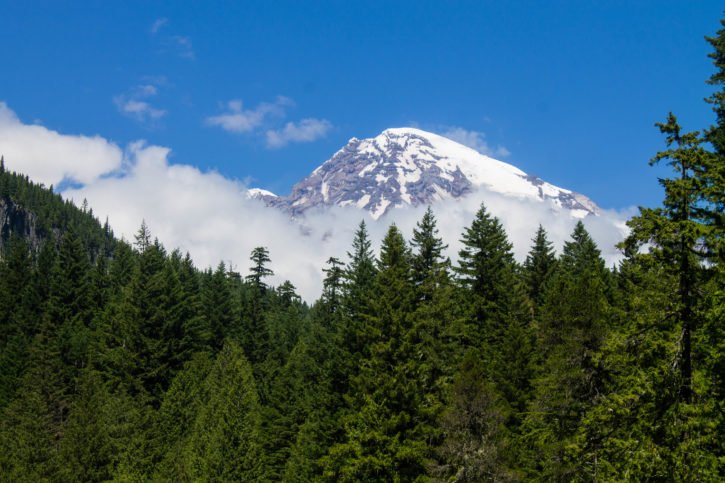 5 Incredible things to do at Mt Rainier National Park