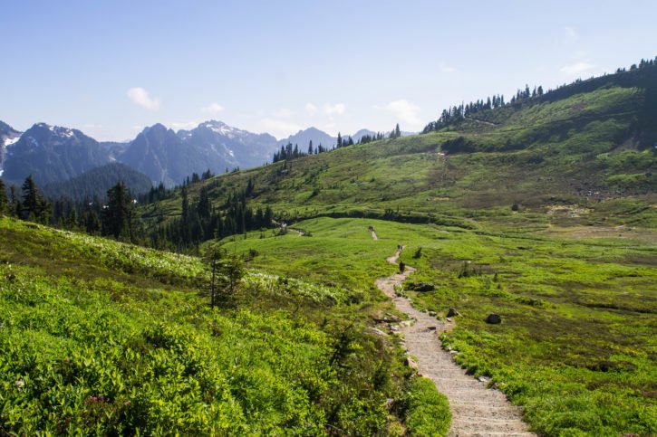 5 Incredible Experiences to Have in Mt. Rainier National Park