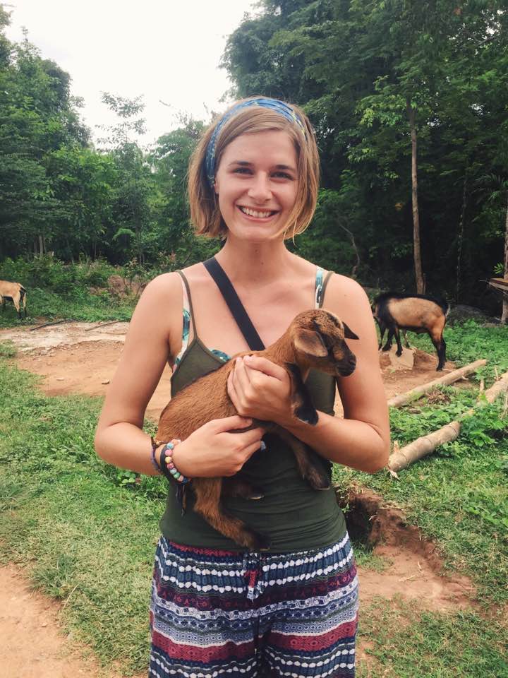 Baby Goats in 4000 Islands, Don Det Laos - Asia Travel