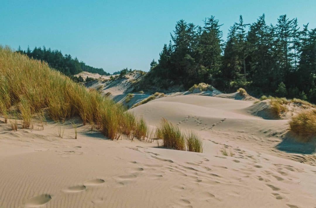 oregon dunes national recreation area