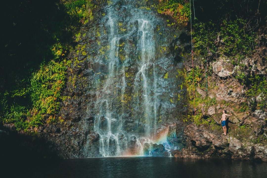 Waterfall Hikes Oahu - Manoa Falls