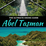 hiking the abel tasman track in new zealand