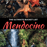 Best Things to do in Mendocino, California