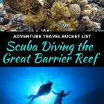 scuba diving in the great barrier reef, australia