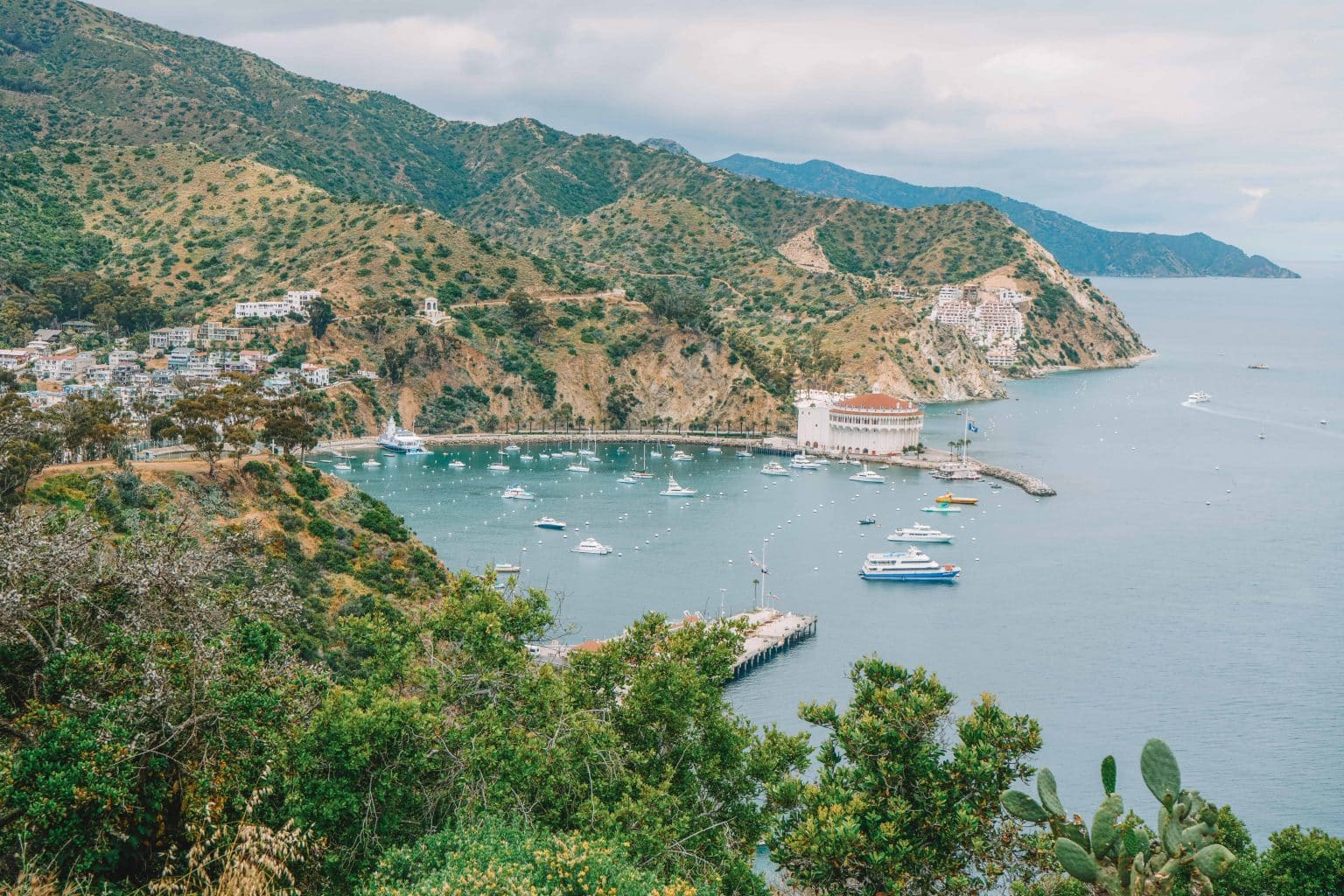 day trip to catalina island from los angeles
