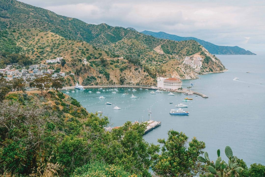 The perfect Catalina Island Day Trip