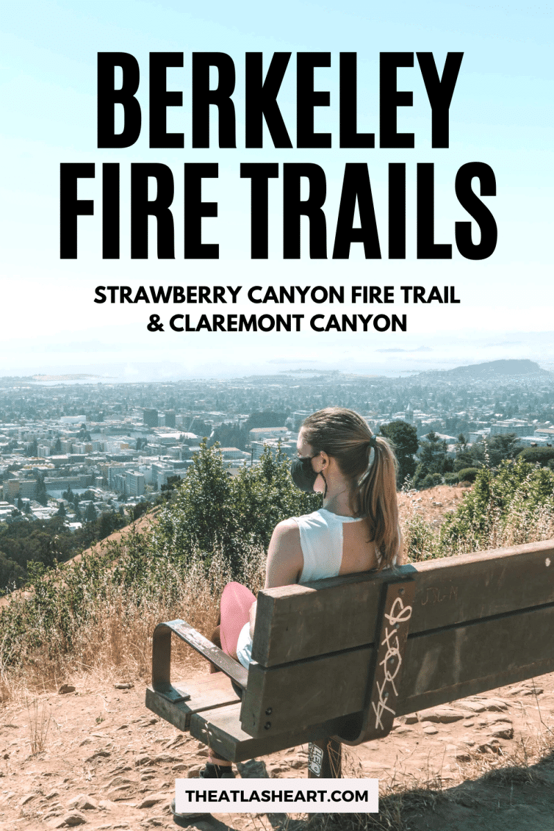 Berkeley Fire Trails Pin 1