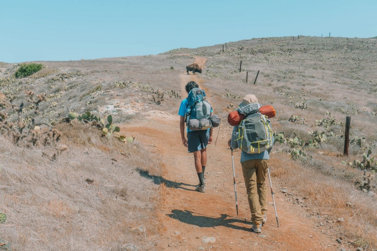 backpacking the trans-catalina trail on catalina island