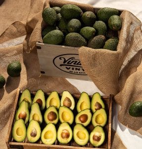 Hass Avocados Gift