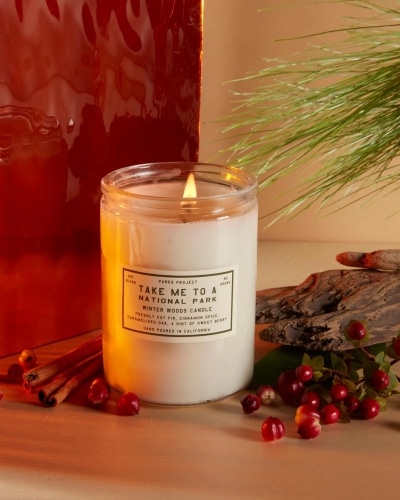 An image of a lit Take Me to a National Park candle with some pomegranates and cinnamon sticks.