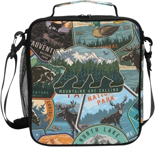National Park Lunch Box with a collage of different national park badges.