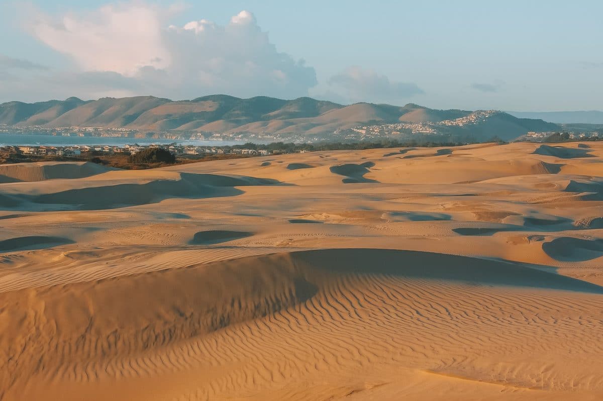 Dune Buggy Ride at Oceano Dunes