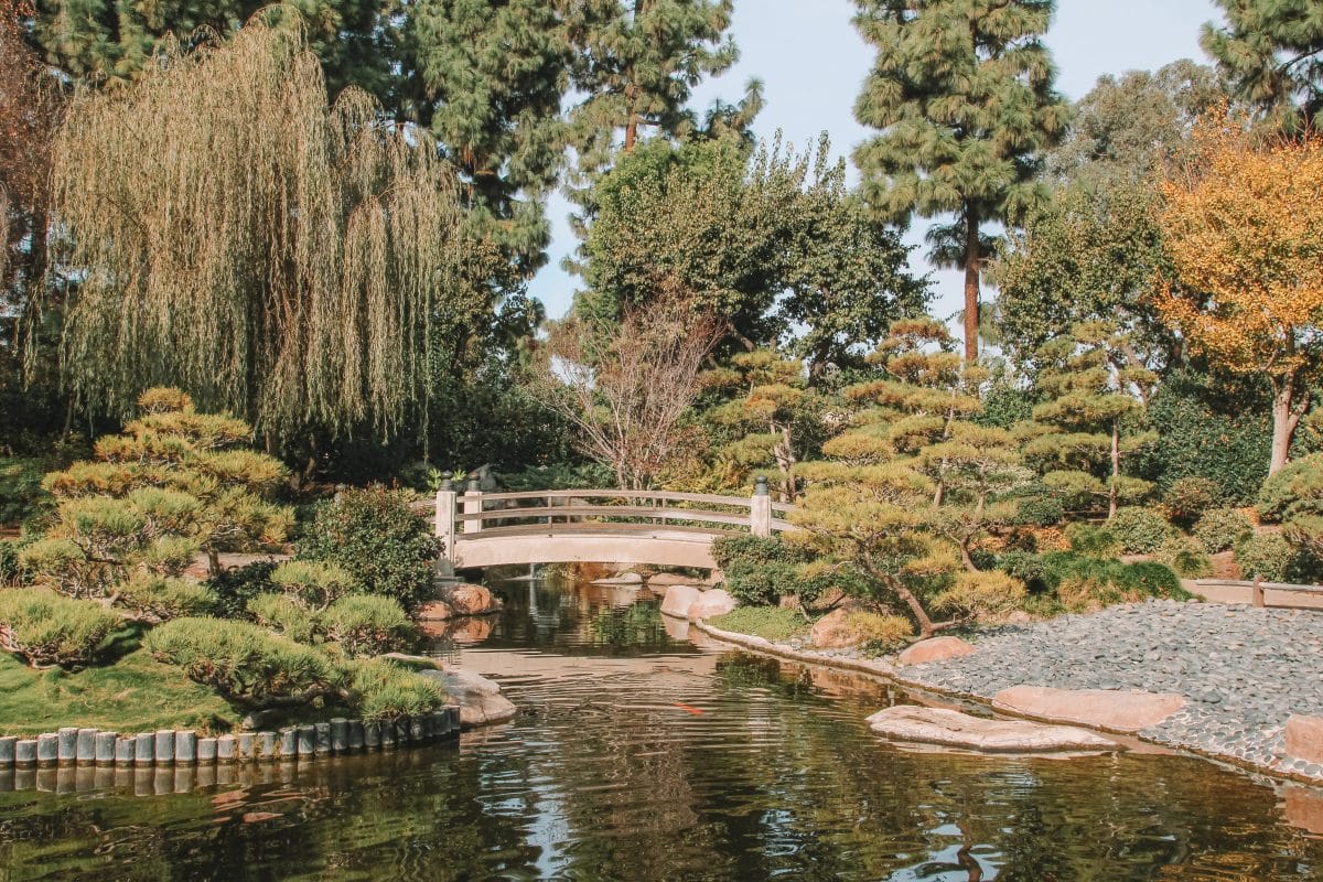 Visit Earl Burns Miller Japanese Garden