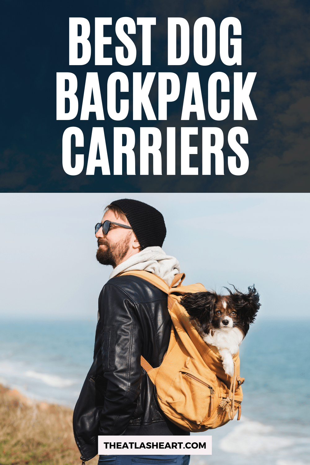 12 Best Dog Backpack Carriers for Hiking With Your Pup in 2022