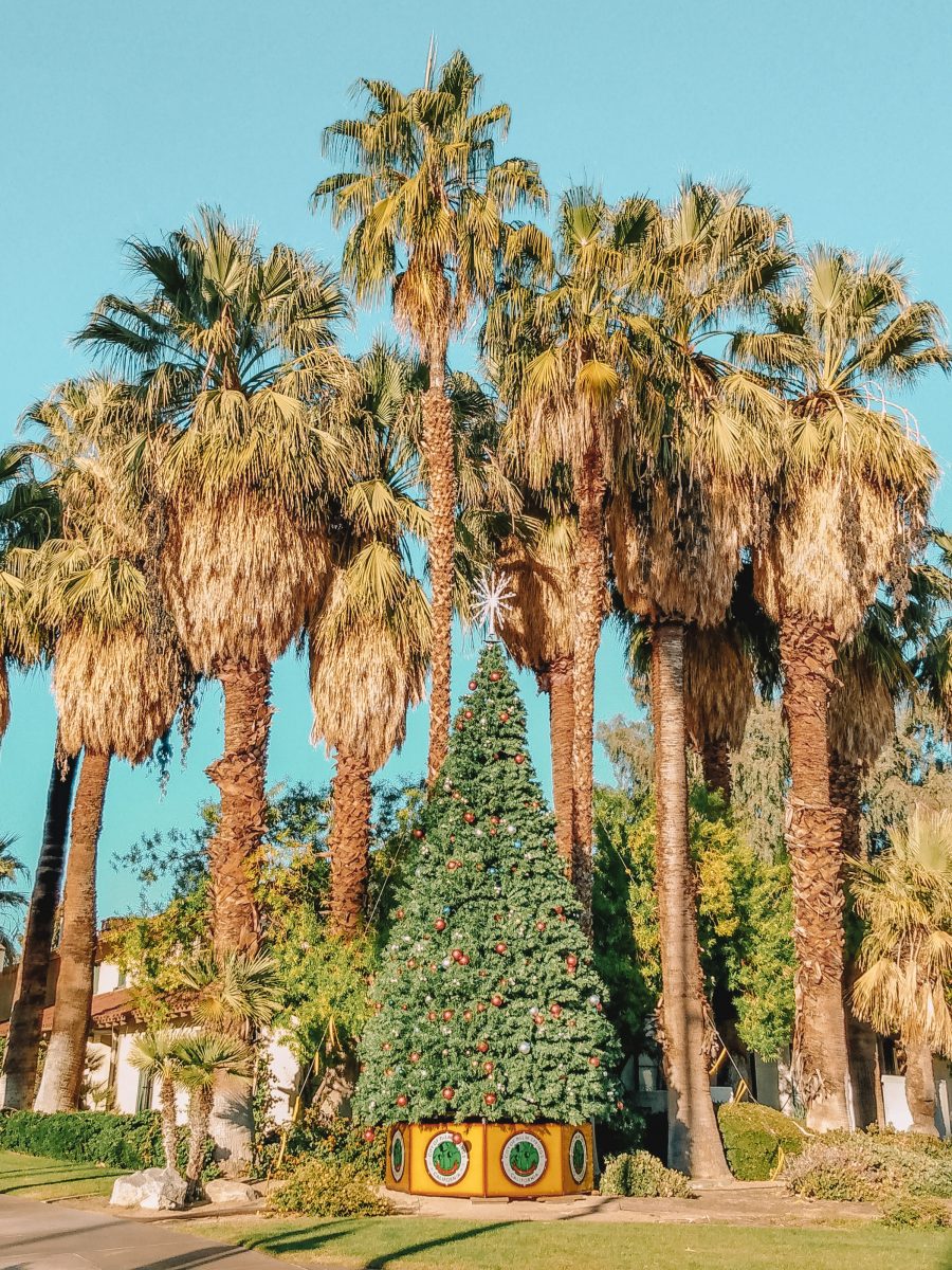 Palm Springs Christmas
