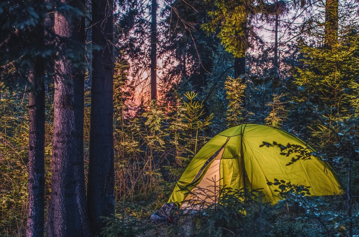 11-best-campgrounds-in-northern-california-that-you-should-book-now