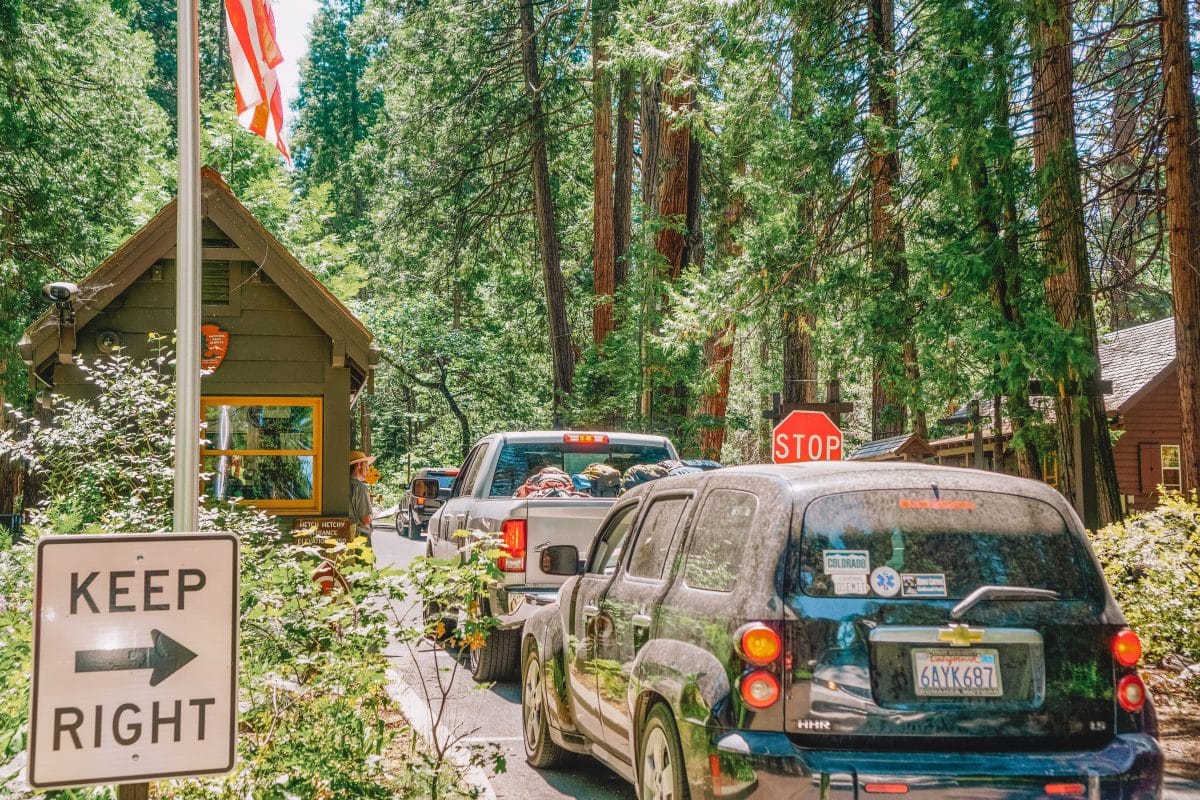 Tips for Getting to Yosemite National Park from San Francisco