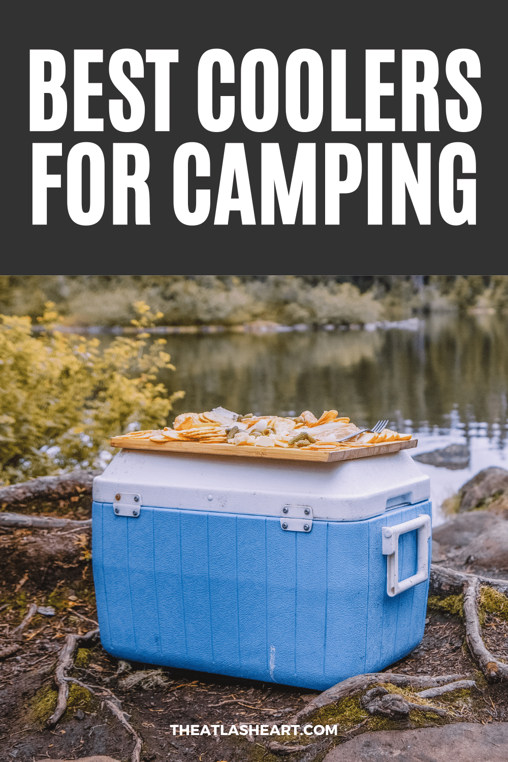 14 Best Coolers for Camping With the Whole Crew in 2022