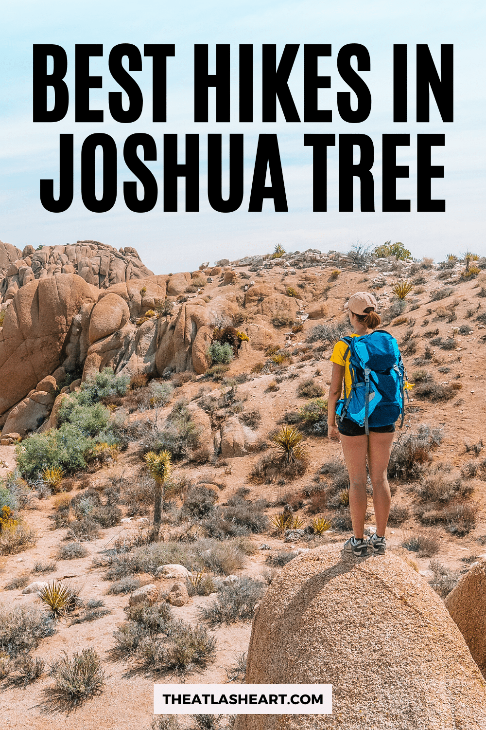 17 Best Hikes in Joshua Tree National Park (See the Beauty of the Desert)