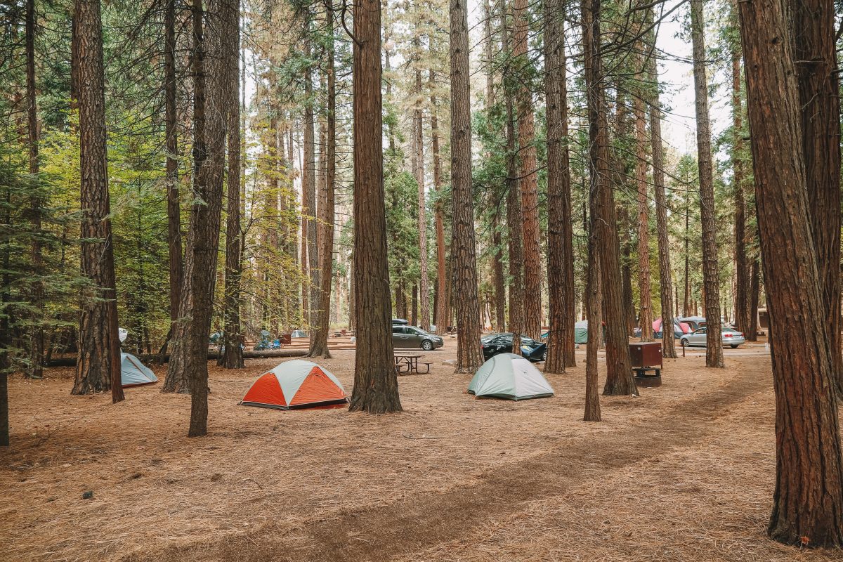 Campgrounds in Yosemite National Park