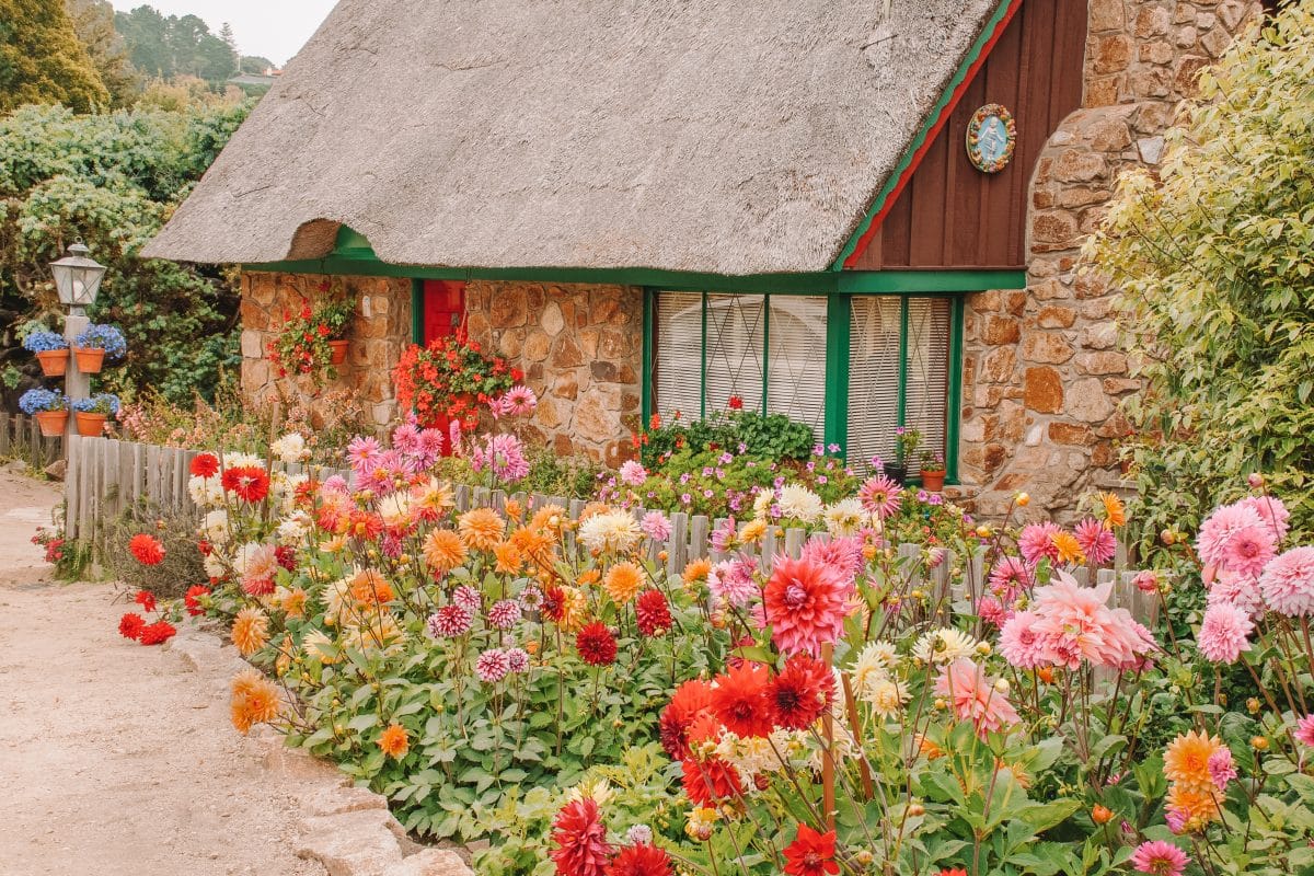 Find Your Favorite Fairytale Cottage