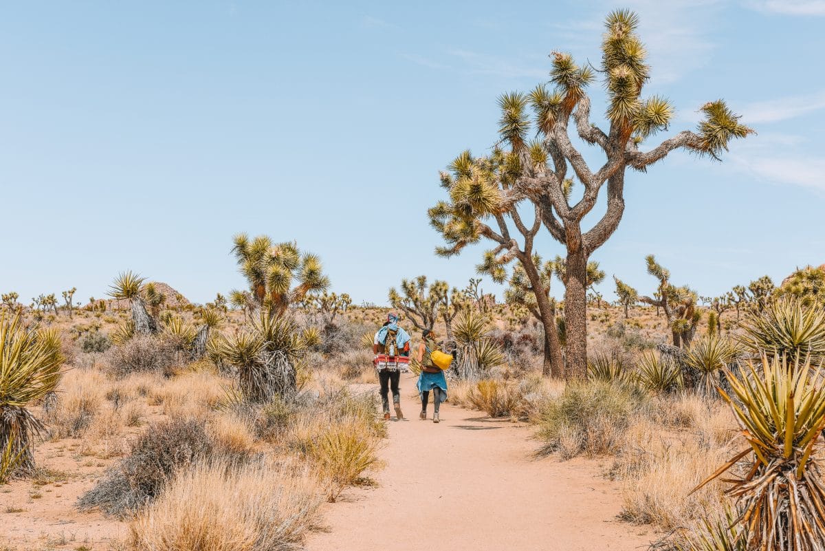 What to Pack for Camping and Hiking in Joshua Tree National Park