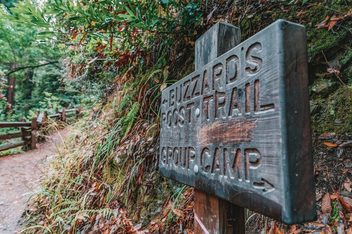 Buzzards Roost Trail Big Sur