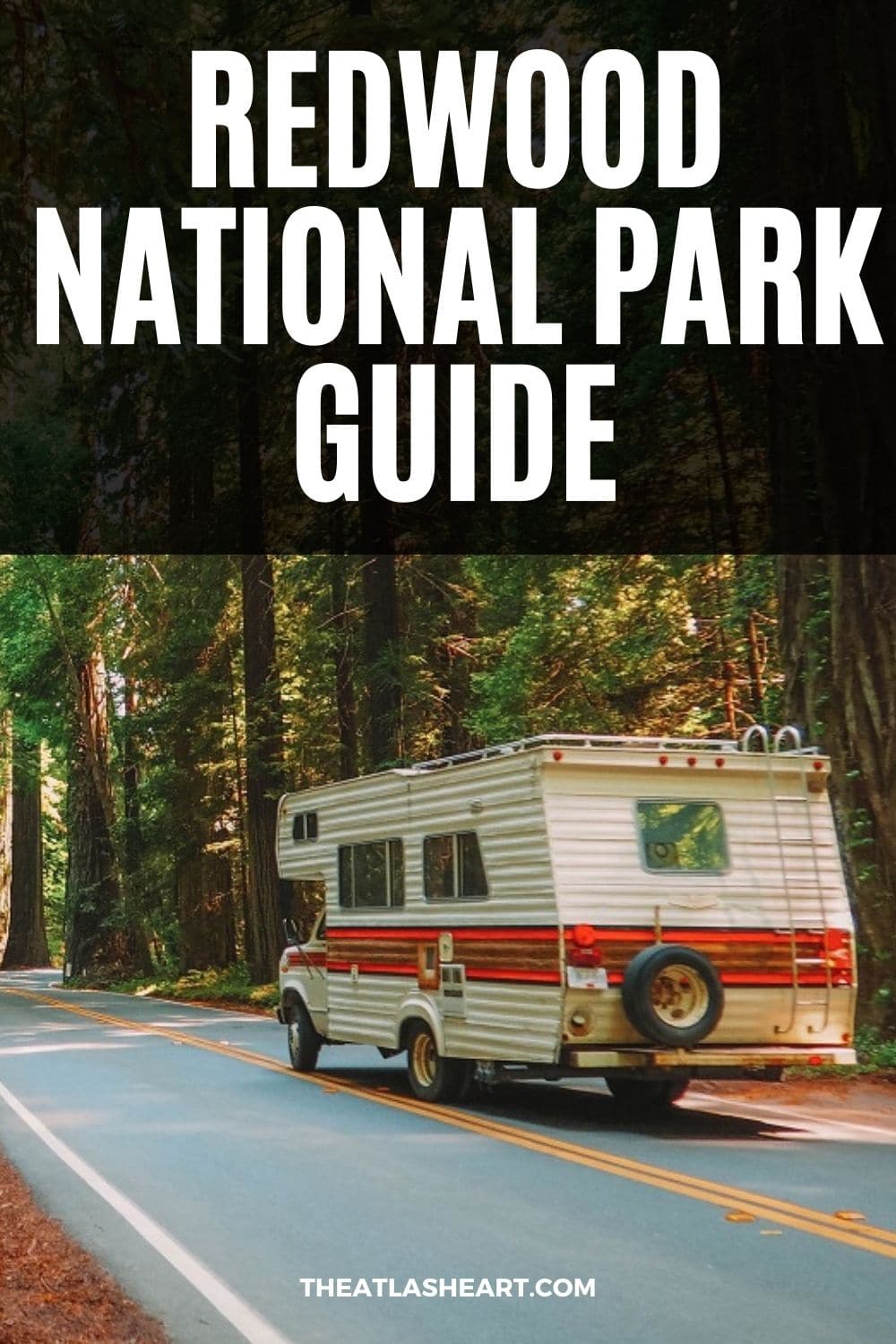 Redwood National Park Guide: Experience the Magic of the California Redwoods