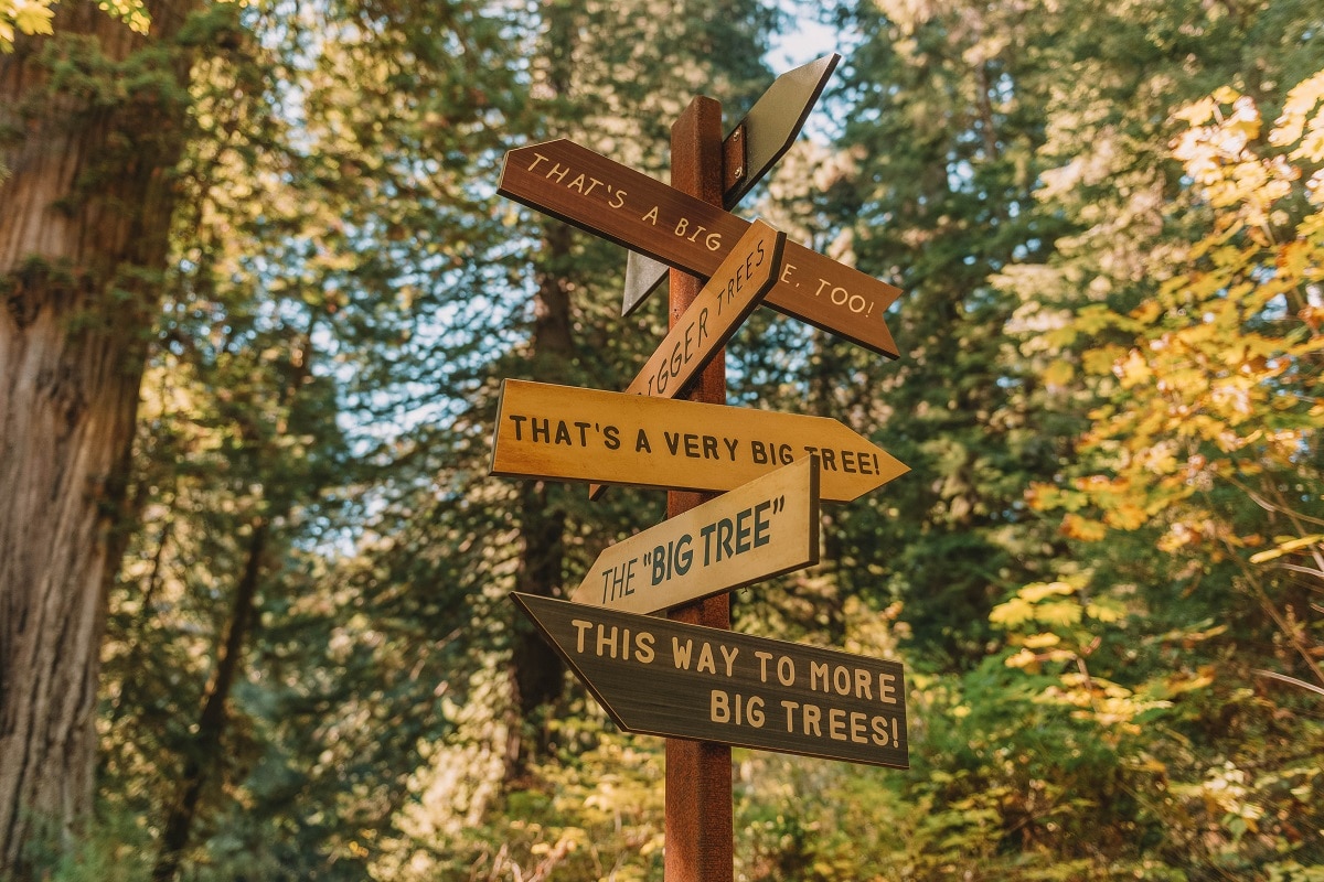 Redwood National Park Signpost Guide