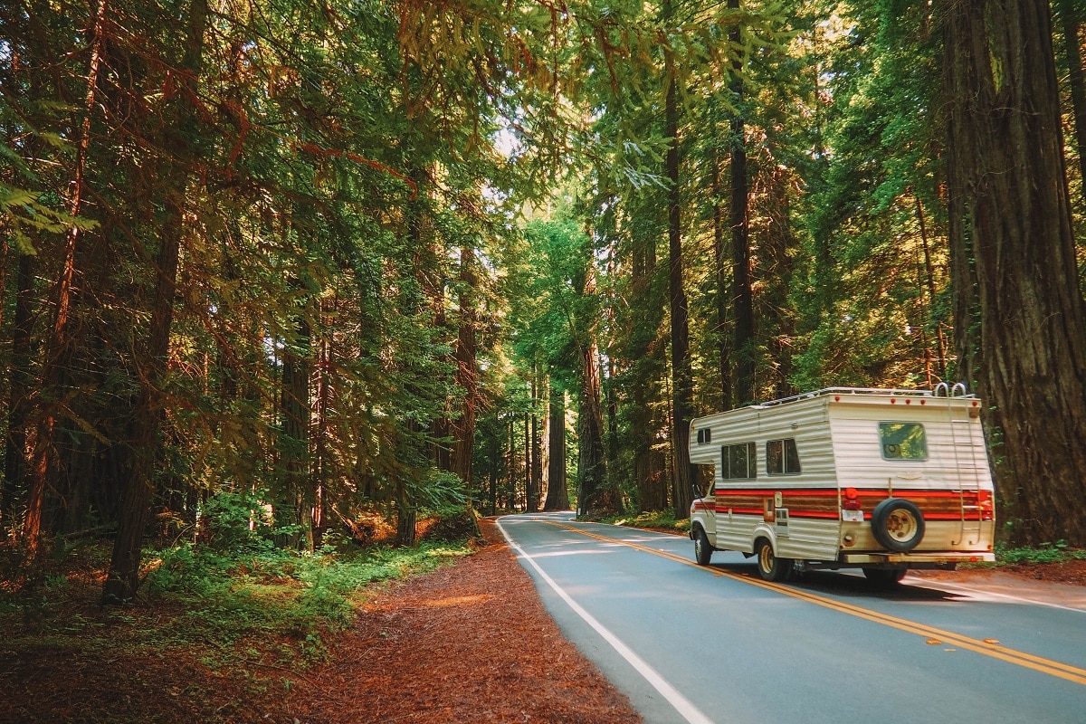Road Trip Motor Home Driving through Redwood forest