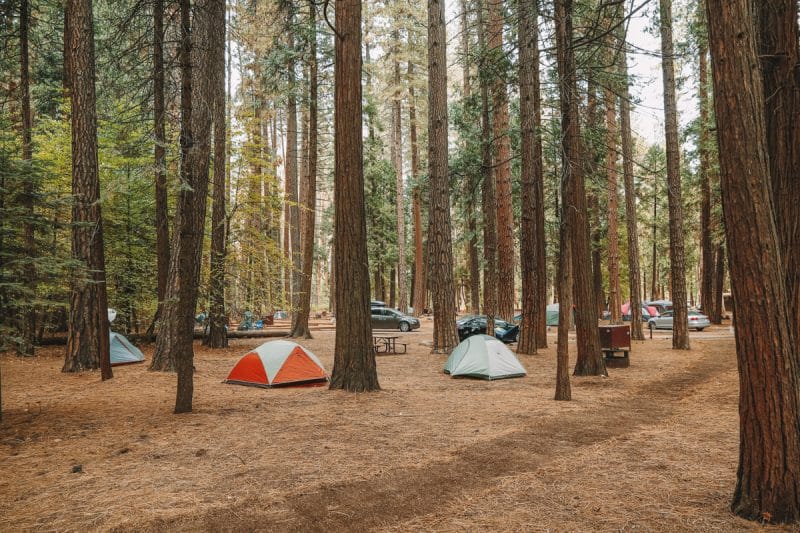 Yosemite Camping [2022 Guide to the Best Campgrounds]