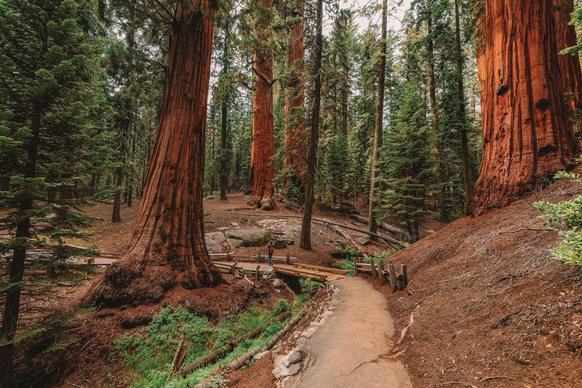 hiking sequoia kings canyon national parks what to expect