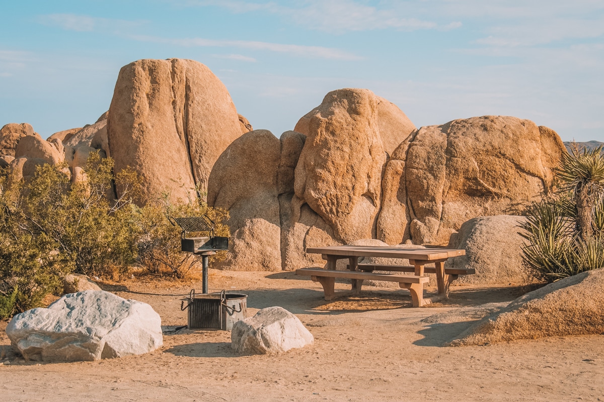 Making Reservations for Joshua Tree
