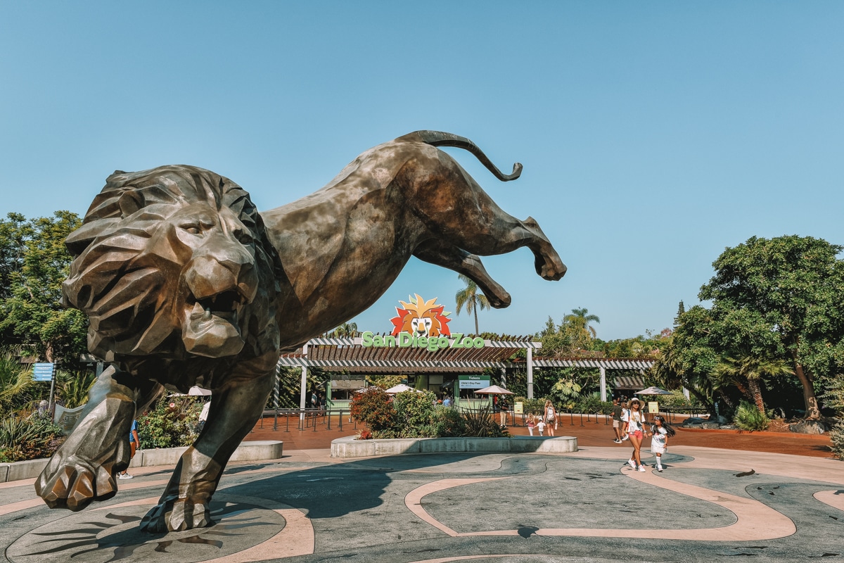 San Diego Zoo vs Safari Park: The BEST Park to Visit and Why