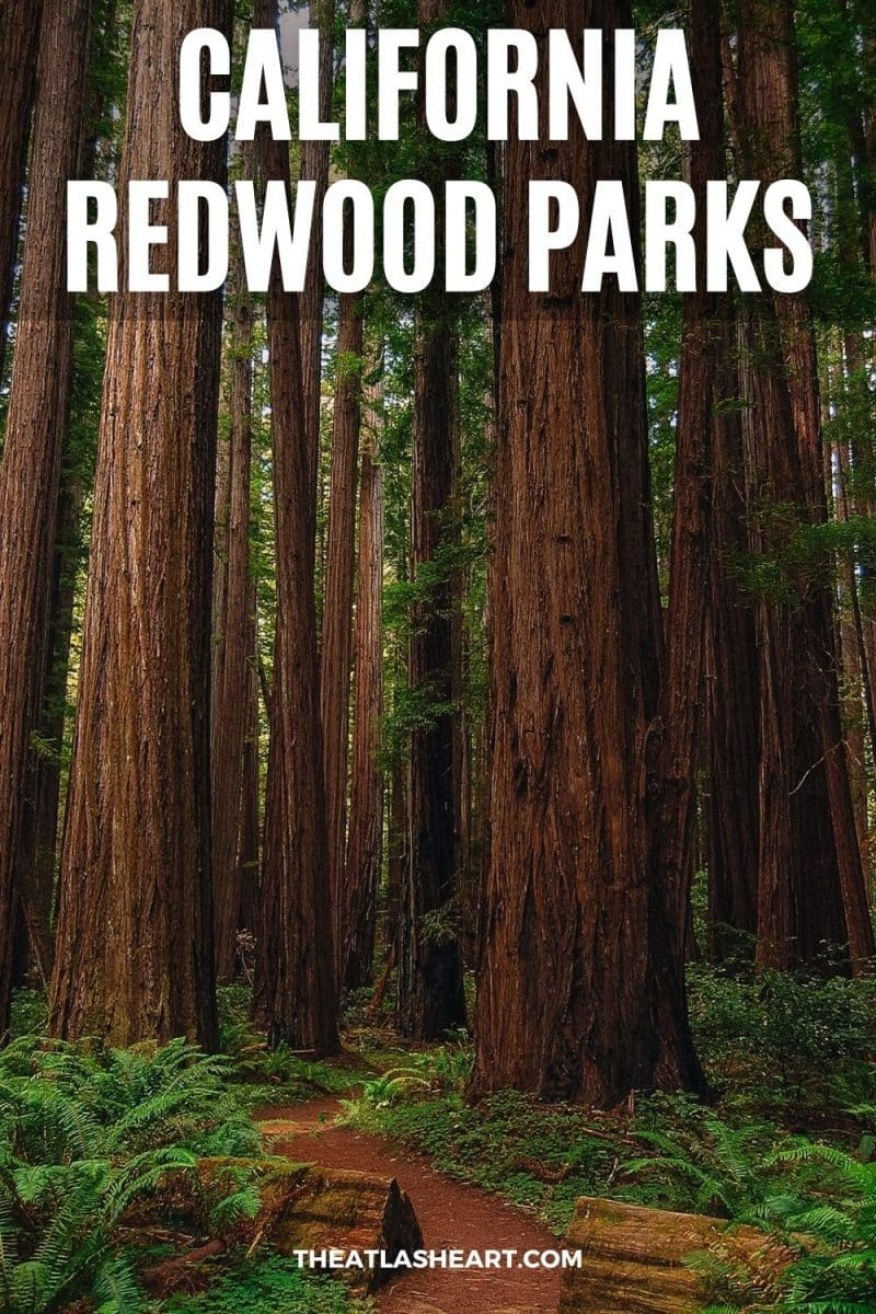 california redwood parks pin