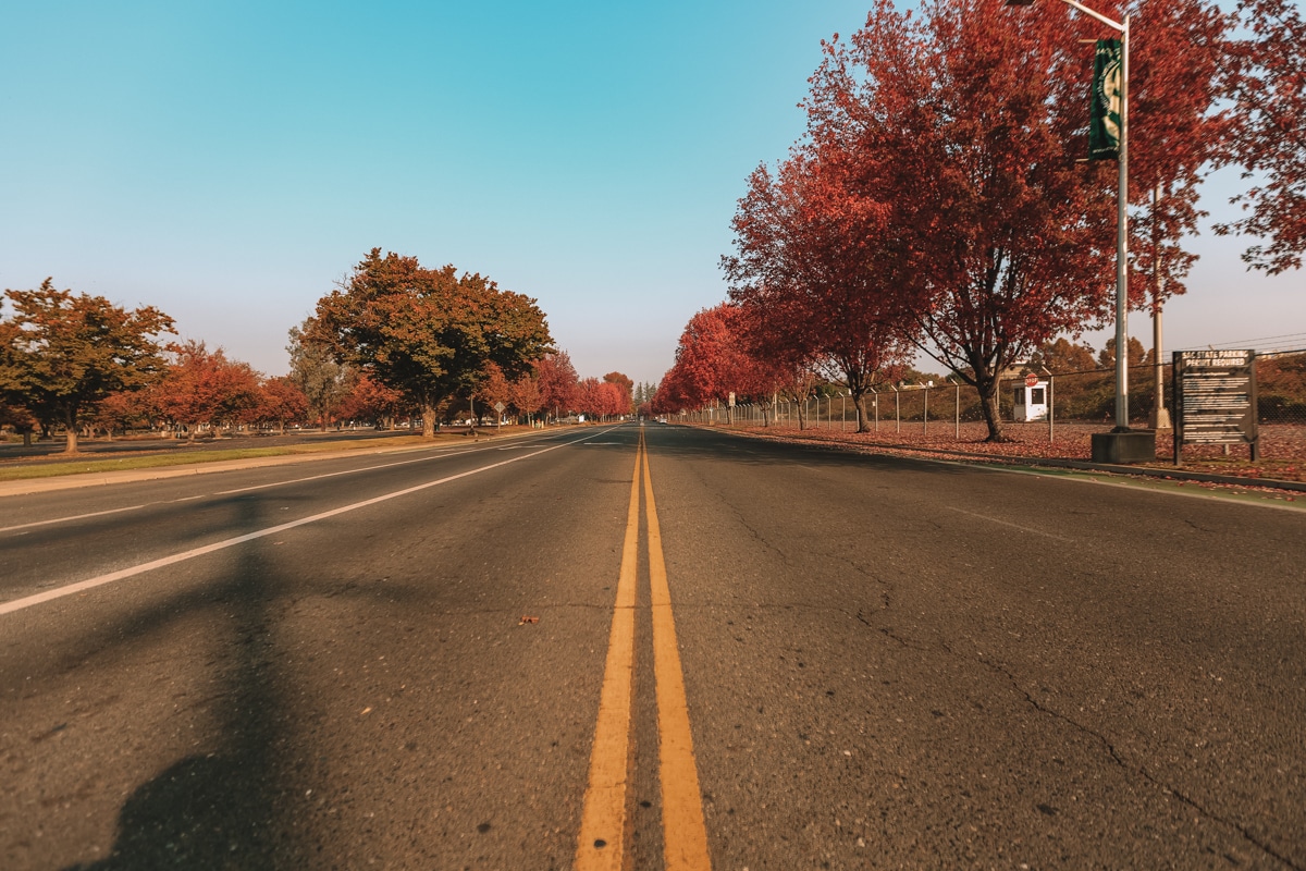 street in Sacramento lined with fall trees