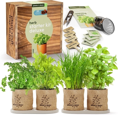 Herb garden starter kit.