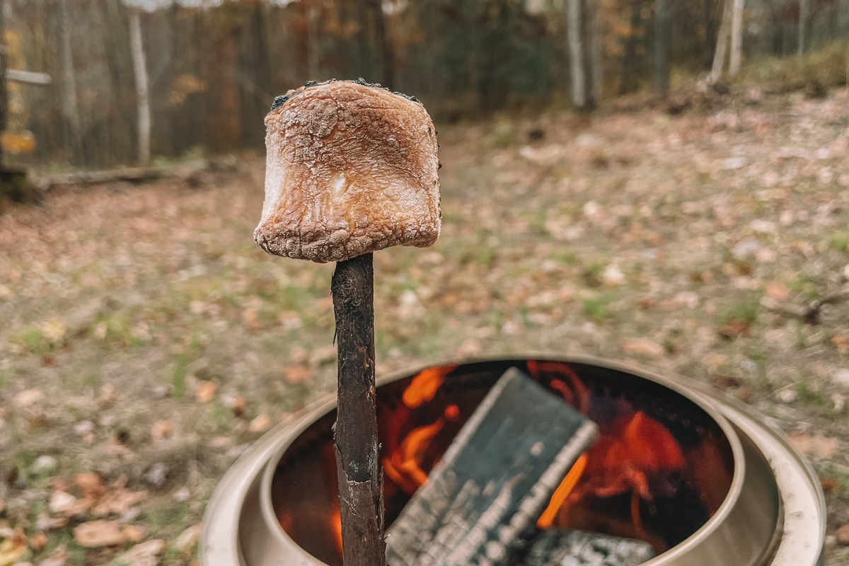 A roasted marshmallow on a stick with a Solo Stove bonfire in the background.