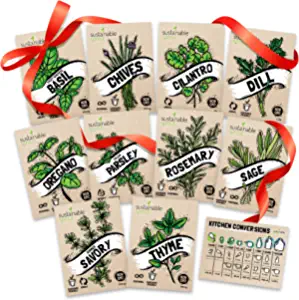 Culinary herb seeds product image
