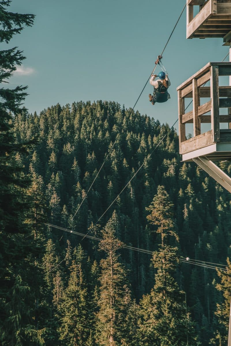 A person on a zipline in an evergreen forest, with a clear blue sky above.