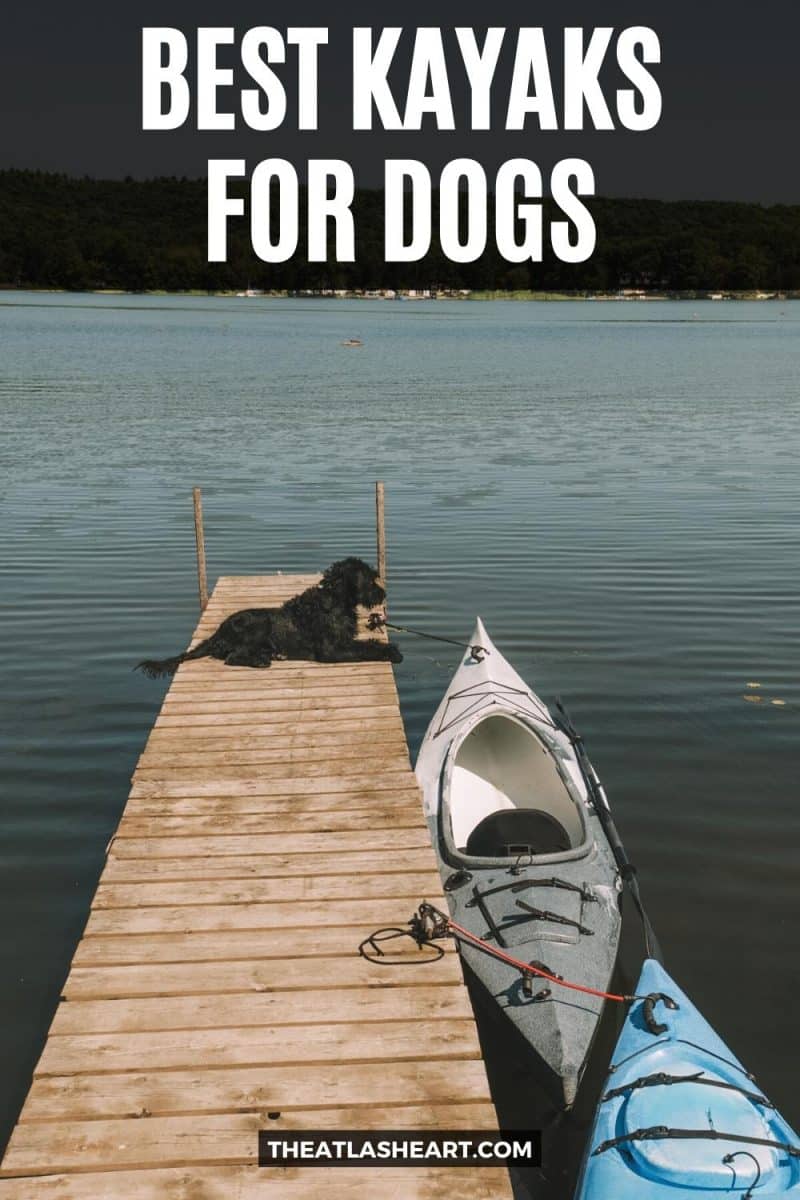Best Kayaks for Dogs Pin