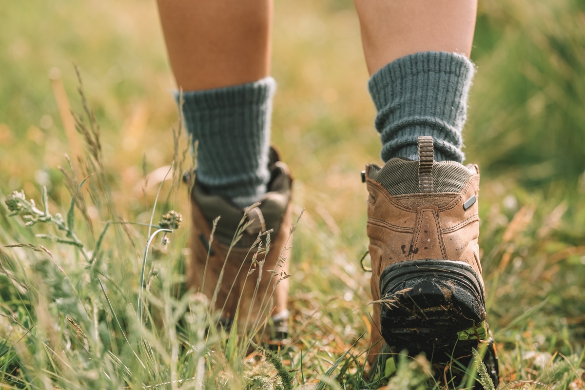 A pair of feet seen from behind wearing brown leather hiking boots and grey hiking socks walking through tall grass in warm sunlight.