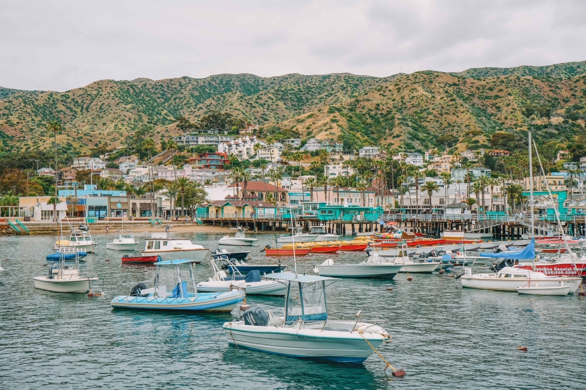 Many colorful boats in the harbor at Catalina Island, with houses, hills, and an overcast sky beyond.