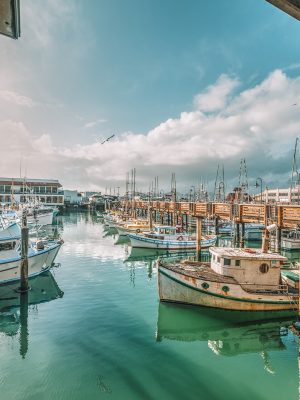 best things to do in fishermans wharf